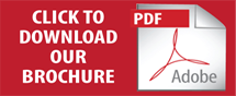 PDF Download